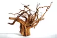 Punainen moorapuu - Juurakot ja puut akvaarioon - H036 - 1