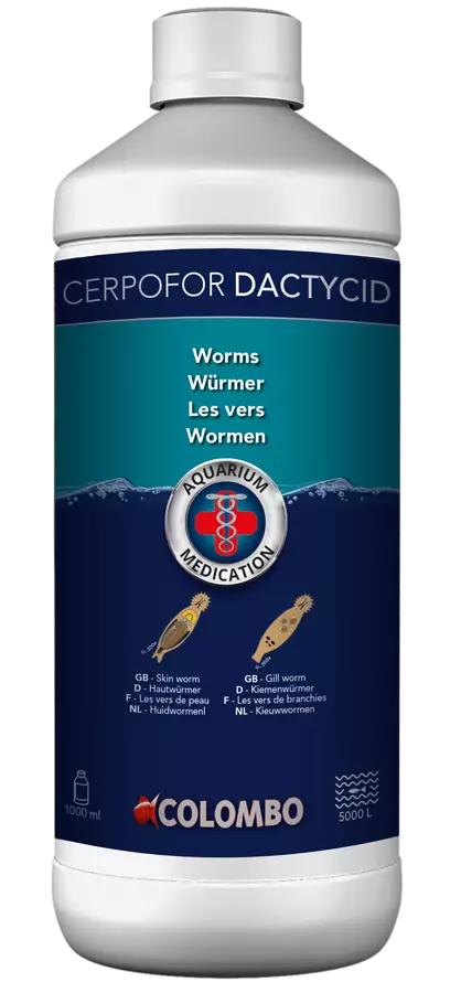 Dactycid 1L Kidusloisten Hoitoon - Itsehoitoaineet kaloille akvaarioon - A5010766 - 1