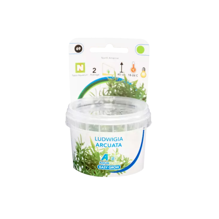 Hapsurusolehti Vitro Kupissa - Akvaarion keskialan kasvit - 81476 - 1