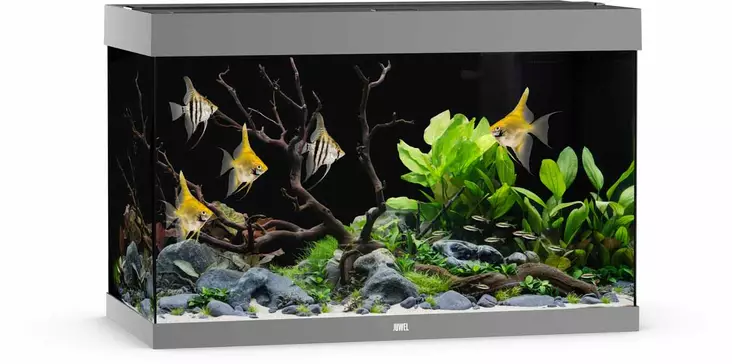 Juwel Rio 290 Led harmaa - 101-200 litraiset akvaariopaketit  - 107.1296 - 1