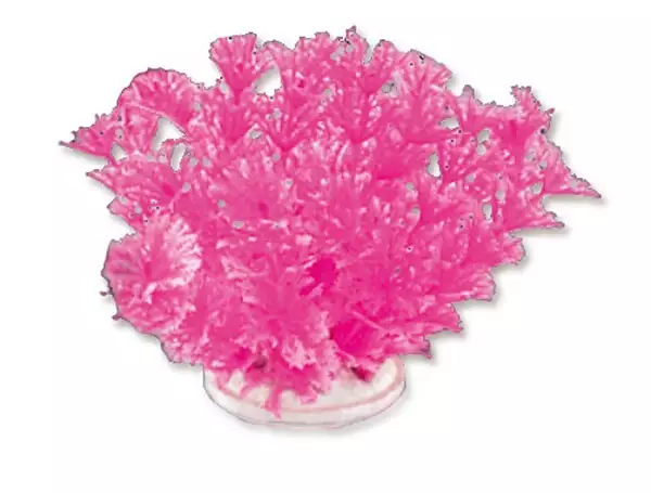 Muovikasvi Karvalehti pinkki 10Cm - Muovikasvit akvaarioon - HAP1F16 - 1