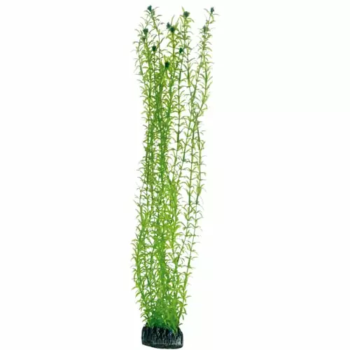 Muovikasvi Lagarosiphon 60Cm - Muovikasvit akvaarioon - D51576 - 1