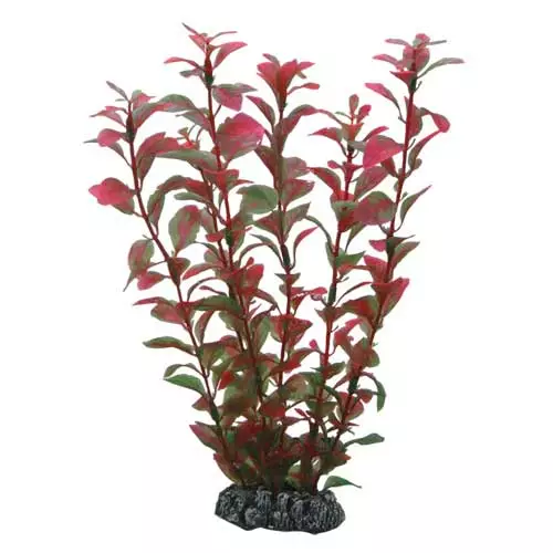 Muovikasvi Ludwigia 25Cm - Muovikasvit akvaarioon - D41516 - 1