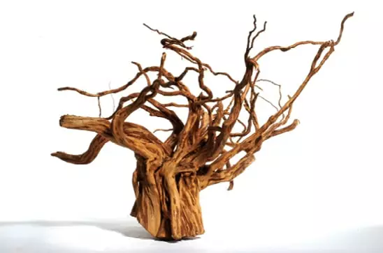 Punainen moorapuu - Juurakot ja puut akvaarioon - H036 - 1