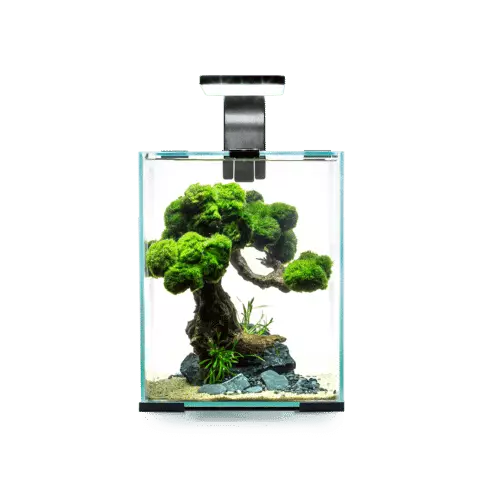 Shrimp Set D&N 10 Musta 10L - 5-45 litraiset akvaariopaketit  - AE122976 - 1