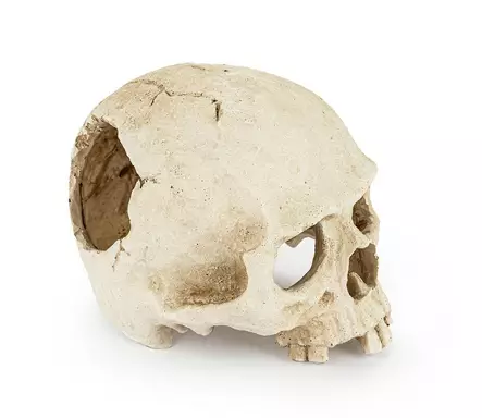 Pääkallo 15 cm - Pääkallot ja hirviöt akvaarioon - HAPR177 - 2