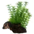Flora Root 3S Kasvijuuri 20X14X9Cm - Koristeet muovikasveilla akvaarioon - D51597 - 1