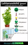 Luhtarusolehti Vihreä Ruukku - Akvaarion keskialan kasvit - 86917 - 7