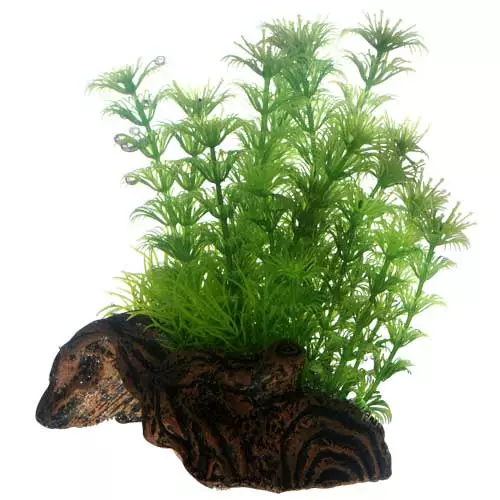 Flora Root 3S Kasvijuuri 20X14X9Cm - Koristeet muovikasveilla akvaarioon - D51597 - 1