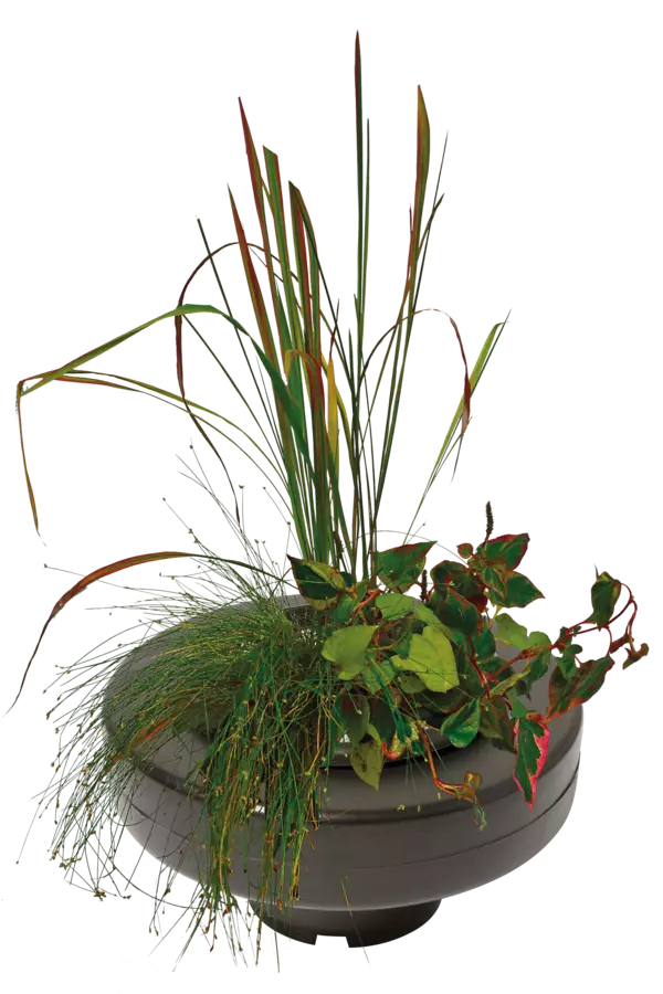 Kelluva Kasvikori 30Cm Pyöreä - Istutuskorit - A06090267 - 1