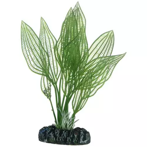Muovikasvi Aponogeton 16Cm - Muovikasvit akvaarioon - D51577 - 1