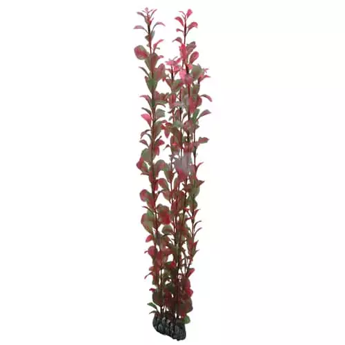 Muovikasvi Ludwigia 60Cm - Muovikasvit akvaarioon - D41517 - 1