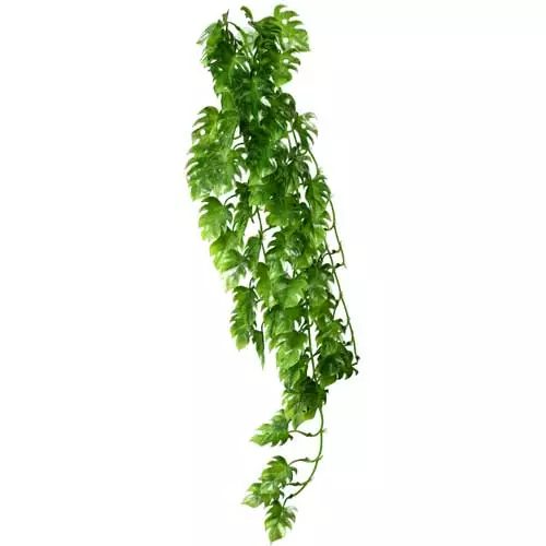 Muovikasvi Peikonlehti Imukupilla 70Cm - Roikkuvat muovikasvit - D37017 - 1