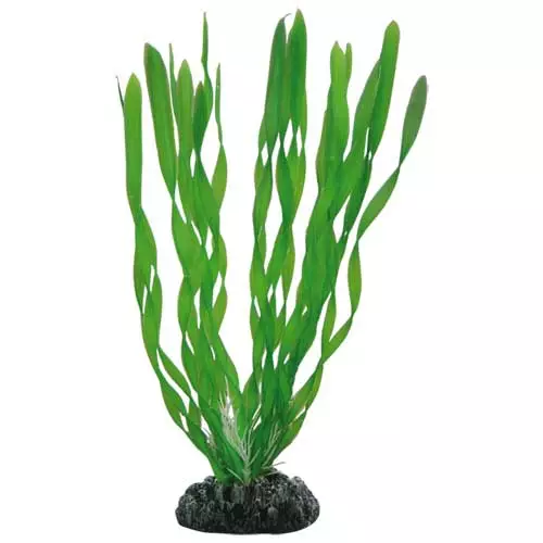 Muovikasvi Vallisneria 20 - Muovikasvit akvaarioon - D41507 - 1
