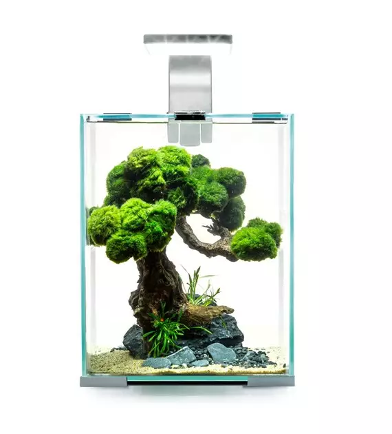 Shrimp Set D&N 10 Valkoinen 10L - 5-45 litraiset akvaariopaketit  - AE122977 - 1