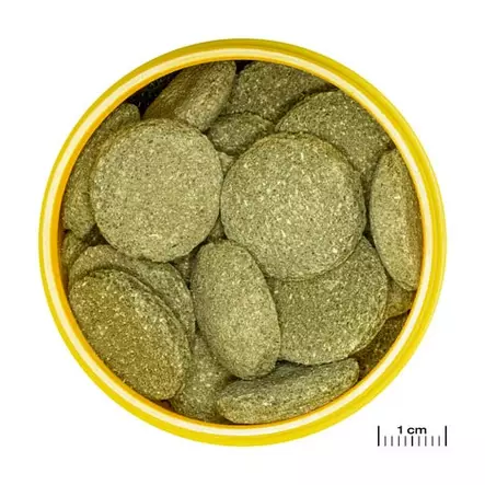 ProNovo pleco Xl Imumonneille 250Ml - Pohjatabletit kaloille - J31338 - 2