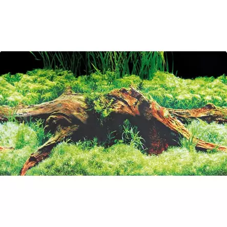 Taustakuvarulla Spring / Moss 60Cm X 25M - Akvaarion taustakuvarullat - D31008 - 2