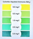 NH3/4 Pro Ammonium testisarja Colombo - Typen kierron testit - A5010968 - 4