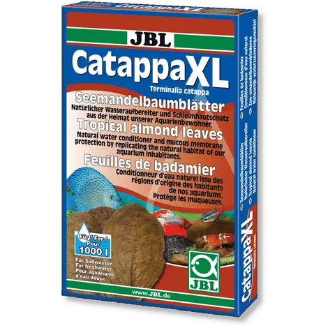 Catappa Xl Intianmantelipuunlehdet 1000L - Catappa-tuotteet ja muut vastaavat - J25198 - 1