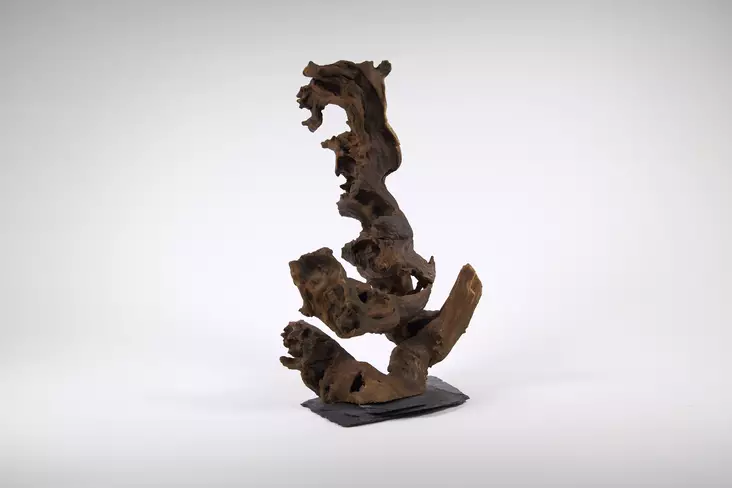 Kongo puu M - Juurakot ja puut akvaarioon - H078 - 1