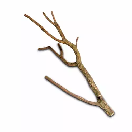 Korkin Oksa - Korkit terraarioon - D35018 - 1