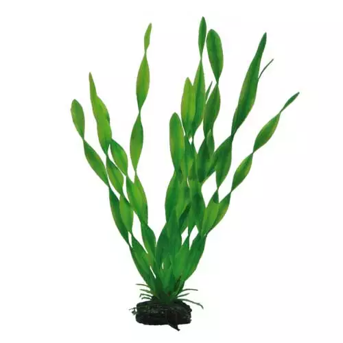 Muovikasvi Vallisneria 34Cm - Muovikasvit akvaarioon - D41508 - 1