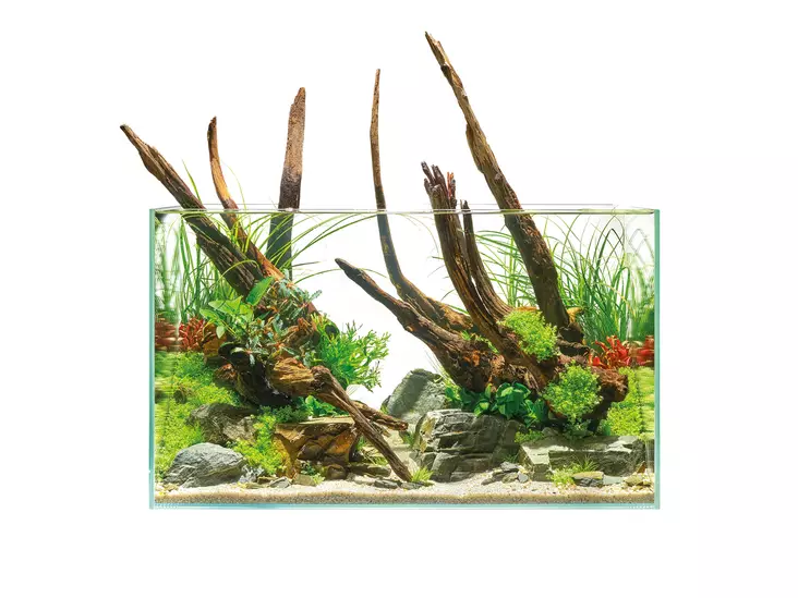 Scaperline 100 Akvaario 250L - 201-300 litraiset akvaariot  - O87998 - 1