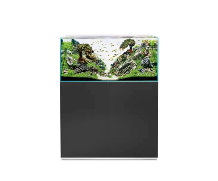 Scaperline 100 Musta Paketti - 201-300 litraiset akvaariokokonaisuudet  - O87988 - 1