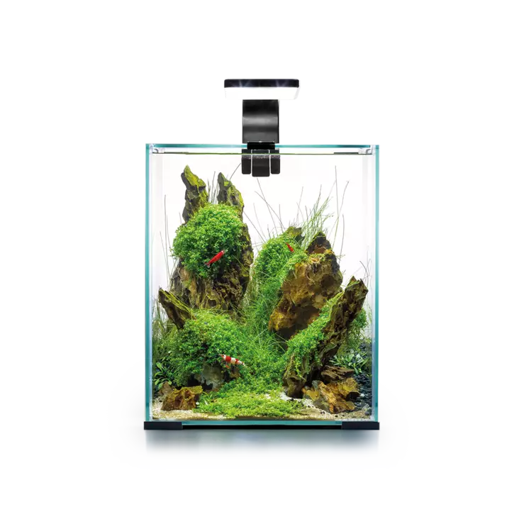 Shrimp Set D&N 20 Musta 19L - 5-45 litraiset akvaariopaketit  - AE122978 - 1