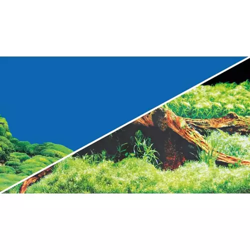 Taustakuvarulla Spring / Moss 60Cm X 25M - Akvaarion taustakuvarullat - D31008 - 1