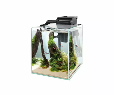 Fish&Shrimp Set Duo 2.0 D&N 35 Musta 49L - 46-100 litraiset akvaariopaketit - AE134609 - 1