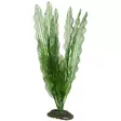 Muovikasvi Aponogeton 49Cm - Muovikasvit akvaarioon - D51579 - 1