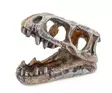 T-rexin pääkallo 10cm - Pääkallot ja hirviöt akvaarioon - HAPU779 - 1