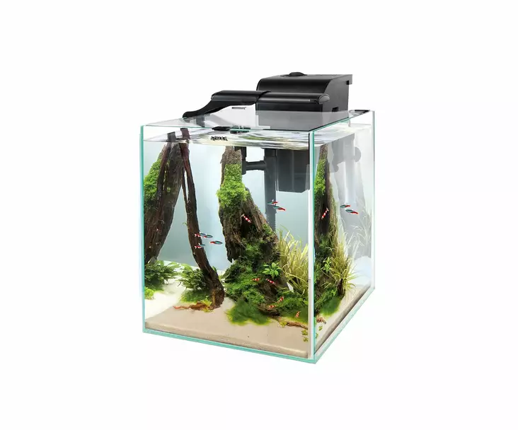 Fish&Shrimp Set Duo 2.0 D&N 35 Musta 49L - 46-100 litraiset akvaariopaketit  - AE134609 - 1