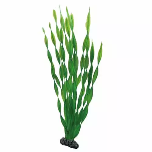 Muovikasvi Vallisneria 46Cm - Muovikasvit akvaarioon - D41509 - 1