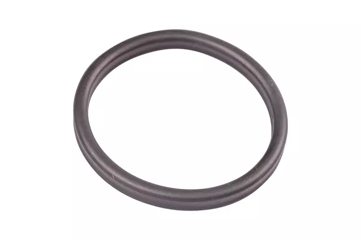 Oase Biomaster esisuodattimen tiiviste - Akvaarion ulkosuodattimien varaosat - O45149 - 1