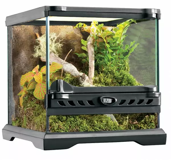 Terraario 20x20x20cm nano - 20 -45 cm pitkät terraariot - HPT2599 - 1
