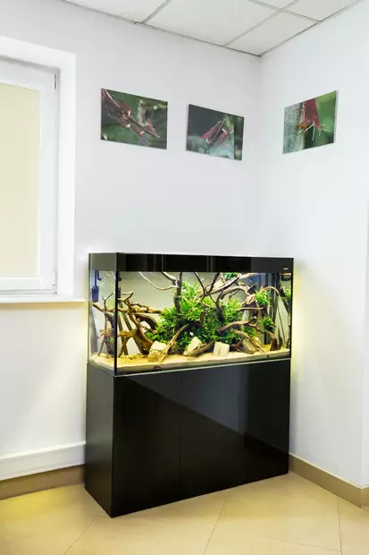 Glossy 100 musta paketti - 201-300 litraiset akvaariokokonaisuudet - GLOSSY100MUSTA - 2