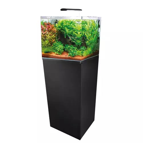 Dupla Cube 80 Set Paketti Musta - 46-100 litraiset akvaariokokonaisuudet - CUBE80MUSTA - 1