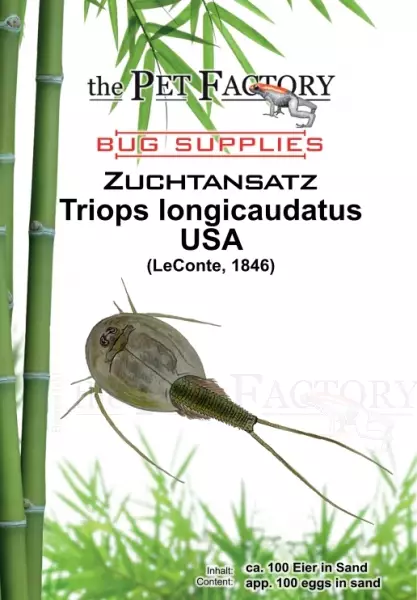 Triops longicaudatus USA - Elävät ruoat kaloille - TPFZUTLUSA - 1