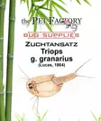 Triops g. granarius - Elävät ruoat kaloille - TPFZUGG - 1