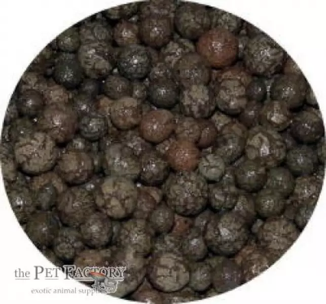 Drainaground 2KG - Muut pohjamateriaalit terraarioon - TPFDRAI - 1