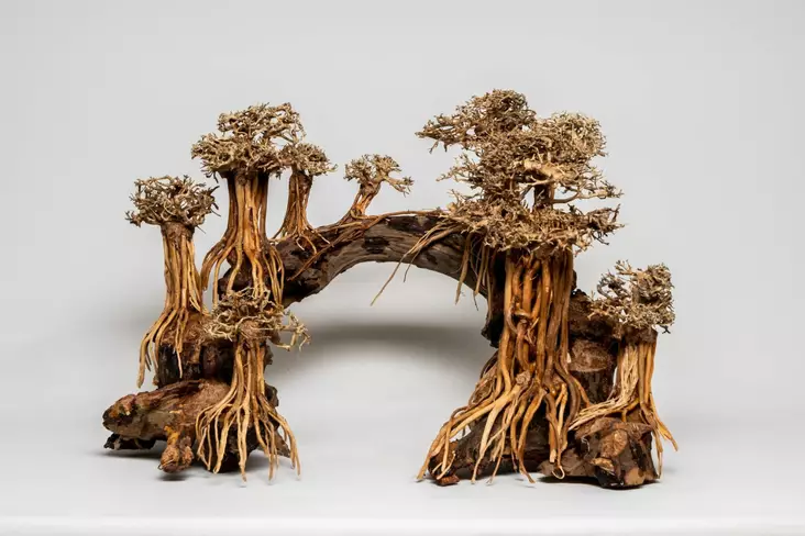 Puusisustus Silta Xxl 80Cm/45Cm - Juurakot ja puut akvaarioon - PW010-XXL - 1