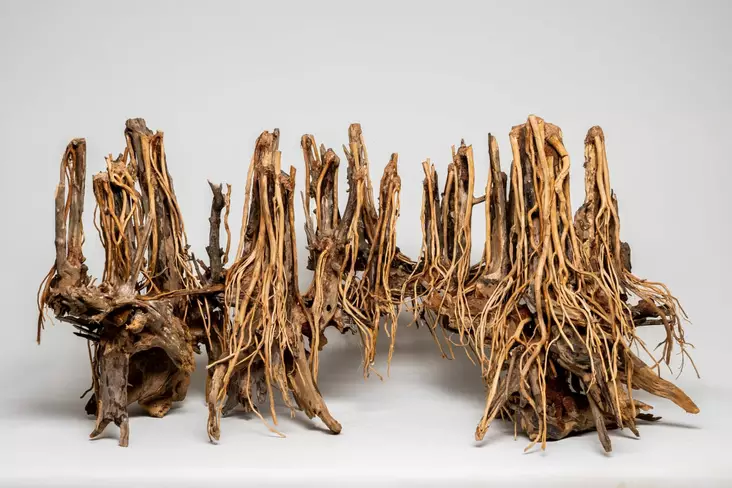 Puusisustus Viidakko Xl 120Cm/45Cm - Juurakot ja puut akvaarioon - PW025-XL - 1