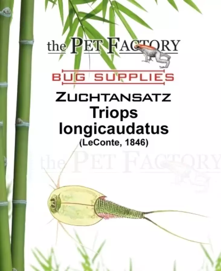 Triops longicaudatus - Elävät ruoat kaloille - TPFZUTL - 1