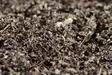 Spider Ground 2.5kg - Humukset ja seokset terraarioon - TPFSPIDGR - 3