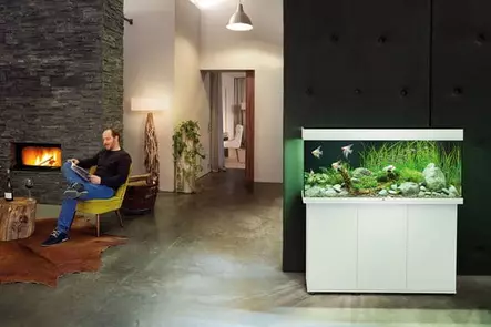 Juwel Rio 240 Valkoinen Paketti Jalustalla - 201-300 litraiset akvaariokokonaisuudet - RIO240V - 2