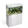 Glossy 80 valkoinen akvaariopaketti jalustalla - 101-200 litraiset akvaariokokonaisuudet  - GLOSSY80V - 1